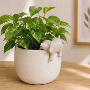 A green leafy houseplant in a round off-white ceramic pot with a small gray ceramic dog figure peeking out from the side, placed on a light wood surface against a softly blurred indoor background.-Dog Pot Hanger Bisque - 6cm