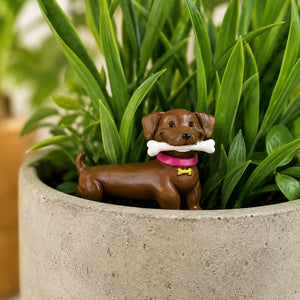 A small brown dog figurine holding a white bone in its mouth, wearing a pink collar with a yellow tag, placed in a concrete planter among green plants.-Dog Plant Markers