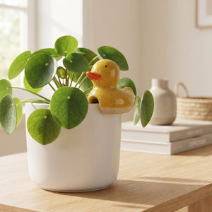 A white ceramic planter pot holding a green round-leaf plant, with a small yellow duck figurine peeking out from behind the leaves. The pot sits on a light wood table in a softly lit indoor setting with blurred books and decor in the background.-Ducky Pot Hanger Yellow 8cm