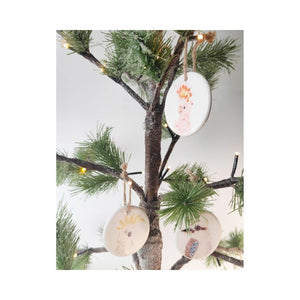 Frankie B Aus Birds Ceramic Disc Colourful 8cm (3) – Love Shack Giftware