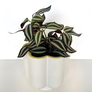 Groovy Flower Planter White & Yellow 16. (1)