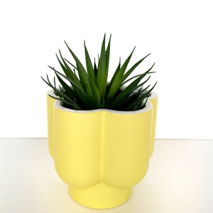 Groovy Flower Planter White & Yellow – Love Shack Giftware