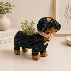 Brown dachshund plant pot perfect for succulents and indoor plants