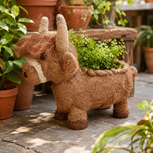 Large HUSK Highland cow planter with green plant styled in a warm home interior
