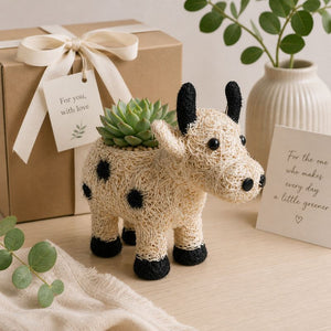 Cow planter displayed with gift box in soft aesthetic setting