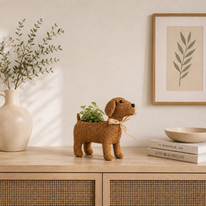 Cute animal planter displayed on shelf with aesthetic accents