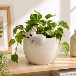 A green leafy houseplant in a round off-white ceramic pot with a small koala decoration peeking out from the side, displayed on a light wood shelf in a bright indoor setting.-Koala Pot Hanger