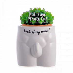 Look at my Prick Planter – Love Shack Giftware