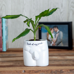 Look at my Prick Planter – Love Shack Giftware