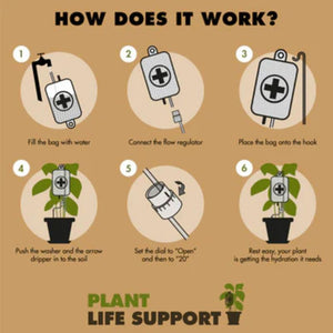 Plant Life Support…….