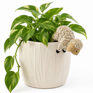 A green pothos plant in a white ribbed ceramic pot with a small sheep figurine perched on the side, photographed on a white background.-Sheep Pot Hanger Ceramic
