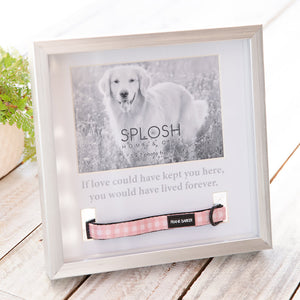 Splosh Sympathy Pet Memorial Collar Frame (2) – Love Shack Giftware