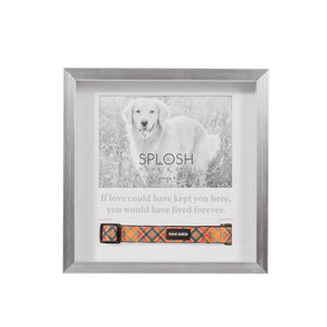 Splosh Sympathy Pet Memorial Collar Frame (5) – Love Shack Giftware