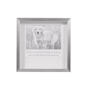 Splosh Sympathy Pet Memorial Collar Frame (6) – Love Shack Giftware