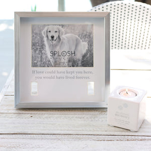 Splosh Sympathy Pet Memorial Collar Frame – Love Shack Giftware
