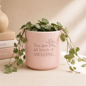 Pink positive quote planter with cascading vine plant on neutral backdrop