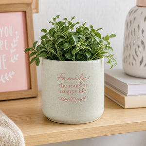 Splosh family positive pot with green trailing plant on shelf