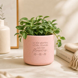 Pink ceramic quote planter with leafy houseplant in cozy neutral decor