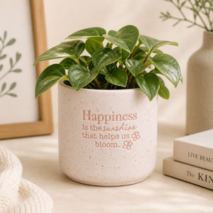 Ceramic happiness quote planter with leafy plant in cozy neutral setting