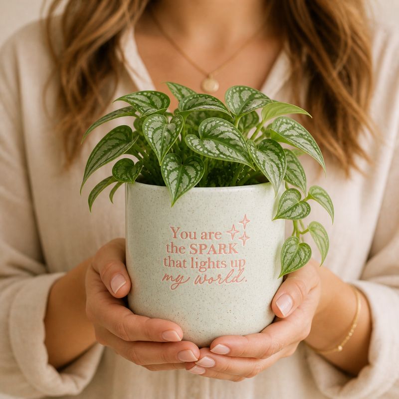 Woman holding sage green ceramic planter with inspirational quote and leafy plant