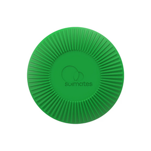 Daintree Green Refillable Roll-On Applicator (50ml) – Love Shack Giftware