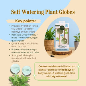 We the Wild – Self-Watering Plant Globes – Love Shack Giftware (3)