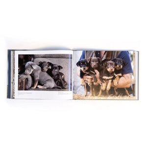 Working Dogs Book - Love Shack Giftware