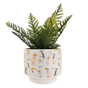 Frankie B Aus Birds Planter Blue 15cm – Love Shack Giftware