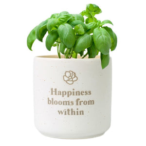 Happiness Positive Pot – Love Shack Giftware