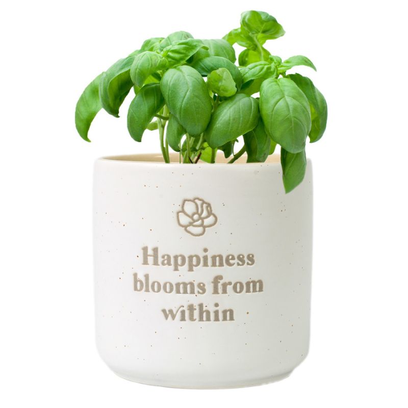 Happiness Positive Pot – Love Shack Giftware
