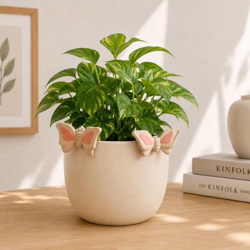 A green leafy houseplant in a round cream-colored ceramic pot with decorative butterfly-shaped side details, placed on a light wood table in a softly lit interior setting.-Butterfly Pot Hanger Pink 8cm