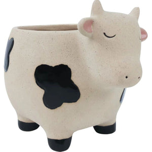 Cow Planter Sand Black Med 14cm – Love Shack Giftware