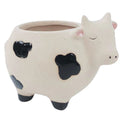 Cow Planter Sand Black Sm 10cm – Love Shack Giftware