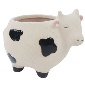 Cow Planter Sand Black Sm 10cm – Love Shack Giftware