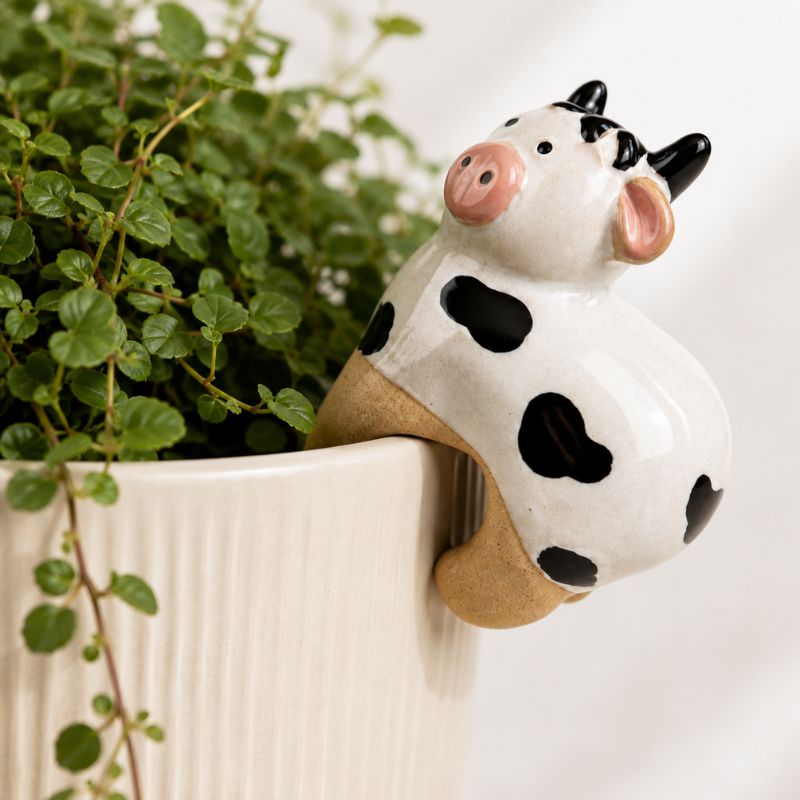 A ceramic cow figurine with a glossy white body, black spots, pink nose and ears, and tan legs, perched on the edge of a white ribbed planter filled with green trailing foliage.-Cow Pot Hanger - 8cm