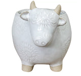 Daisy Cow – Love Shack Gifrware