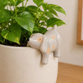 A small glossy ceramic dog planter in light gray with peach patches, shown growing in a white pot with green plant leaves against an indoor wall - Dog Pot Hanger Bisque -  6cmbackground.