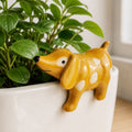 A glossy yellow ceramic dachshund figurine with white spots and a black nose, leaning over the edge of a white planter filled with green foliage.-Dog Pot Hanger