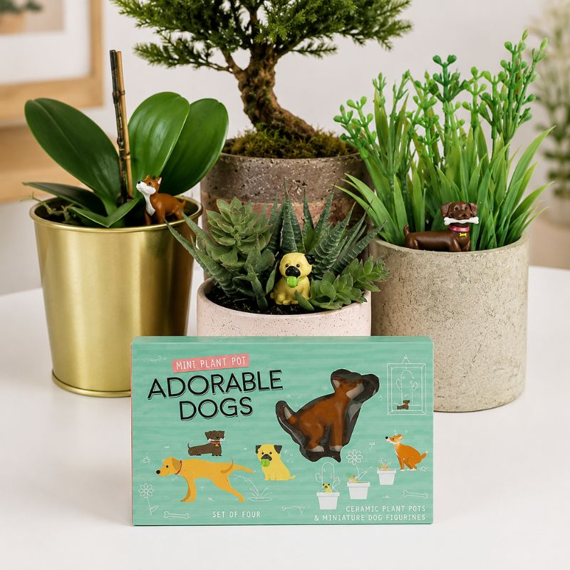 A set of four mini plant pots displayed on a white table, featuring a mint green box labeled 'ADORABLE DOGS' in the foreground. The pots include a shiny gold metallic pot with a green plant, a textured light gray pot with a small succulent, and a speckled beige pot with artificial grass.-Dog Plant Markers
