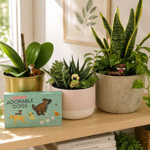 A box of Phil Nelson Adorable Dogs planters displayed on a wooden shelf next to potted plants, including a gold planter with an orchid, a speckled white and beige pot with a succulent, and a textured beige pot with a snake plant.-Dog Plant Markers