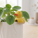 A small yellow duck-shaped planter pot with an orange beak, shown sitting on the edge of a white textured planter filled with green round-leaf houseplants in a softly lit indoor setting.-Ducky Pot Hanger Yellow 8cm