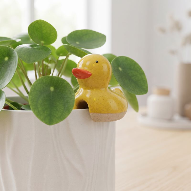 A small yellow duck-shaped planter pot with an orange beak, shown sitting on the edge of a white textured planter filled with green round-leaf houseplants in a softly lit indoor setting.-Ducky Pot Hanger Yellow 8cm