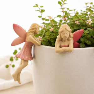 Two small fairy garden figurines with pink wings are placed on a white planter filled with green leafy plants. One fairy is leaning against the pot holding a small pink flower, and the other is sitting inside the pot with arms crossed.-