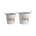 Fresh Cut Flowers Set of 2 Buckets - Love Shack Giftware