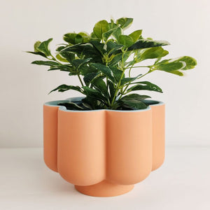 Groovy Flower Planter Coral & Blue 16.5cm – Love Shack Giftware