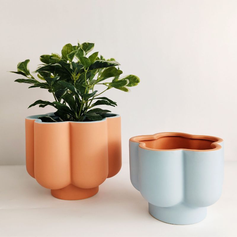 Groovy Flower Planter Coral & Blue 16.5cm – Love Shack Giftware