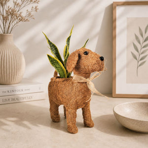 Dog planter with plant styled in minimalist neutral home decor