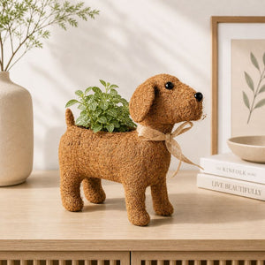 Brown dog planter with succulent in modern cozy setting