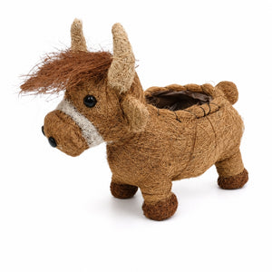 HUSK Highland cow planter in brown coconut fibre with horns and open planting compartment