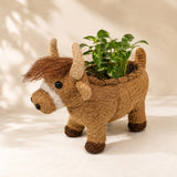 HUSK Highland cow coconut fibre planter styled with a leafy green plant